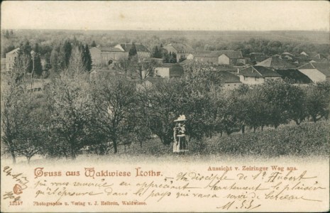 Alte Ansichtskarte Waldwiese / Waldwisse, Aussicht v. Zeiringer Weg aus