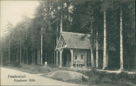Alte Ansichtskarte Freudenstadt, Rippolsauer Hütte
