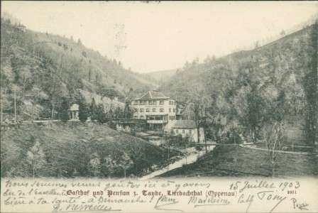 Alte Ansichtskarte Oppenau, Gasthof und Pension z. Taube, Lierbachtal