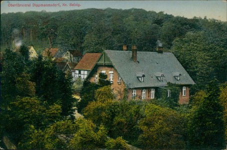 Alte Ansichtskarte Zschopau, Oberförsterei Dippmannsdorf, Kr. Belzig