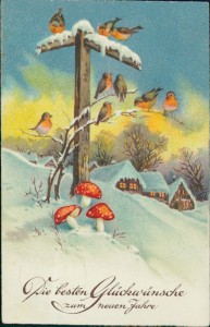 Alte Ansichtskarte Die besten Glückwünsche zum neuen Jahre, Rotkehlchen, Fliegenpilze