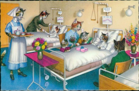 Alte Ansichtskarte Katzen im Krankenhaus, 