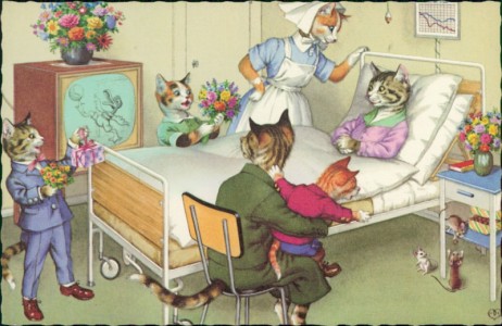 Alte Ansichtskarte Katzen im Krankenhaus, 