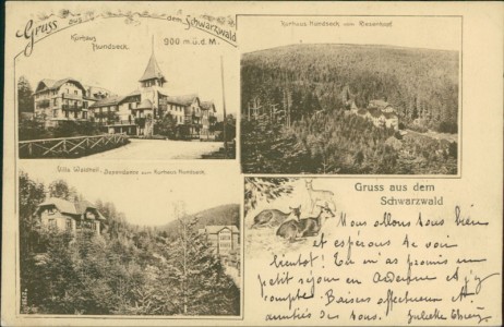 Alte Ansichtskarte Ottersweier, Kurhaus Hundseck, Villa Waldheil, Dependance zum Kurhaus Hundseck