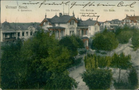 Alte Ansichtskarte Dresden-Weisser Hirsch, V. Gartenhaus, Villa Elisabeth, Villa Mathilde, Villa Bertha, VillaAlke