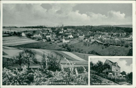 Alte Ansichtskarte Espenschied (Lorch), Gesamtansicht, Pension Haus Talblick