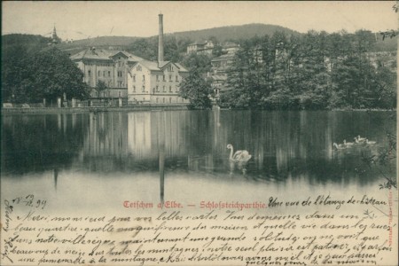 Alte Ansichtskarte Tetschen / Děčín, Schloßteichpartie