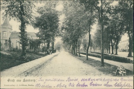 Alte Ansichtskarte Berlin-Lankwitz, Allee