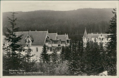 Alte Ansichtskarte Wernigerode-Schierke, Kaufm. Heim, Brockenscheideck