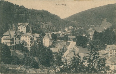Alte Ansichtskarte Triberg im Schwarzwald, Teilansicht