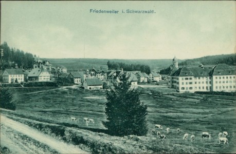 Alte Ansichtskarte Friedenweiler, Gesamtansicht