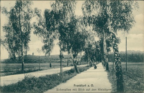 Alte Ansichtskarte Frankfurt (Oder), Birkenallee mit Blick auf den Kleistturm