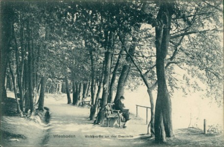 Alte Ansichtskarte Wiesbaden, Waldpartie an der Beausite