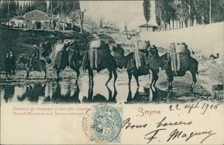 Alte Ansichtskarte Izmir / Smyrna / Smyrne, Caravane de chameaux et pont des caravanes / Kamel-Karawane und Karawanenbrücke