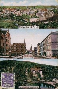 Alte Ansichtskarte Ziegenhals / Głuchołazy, Total, Seminarstr., Restaurant Waldesruh