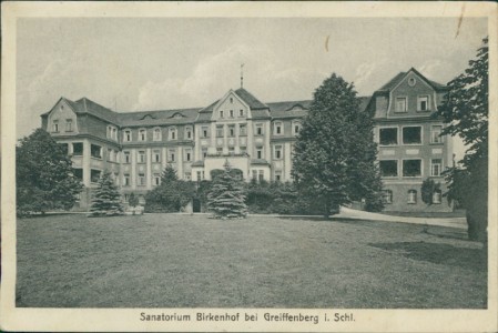 Alte Ansichtskarte Greiffenberg / Gryfów Śląski, Sanatorium Birkenhof