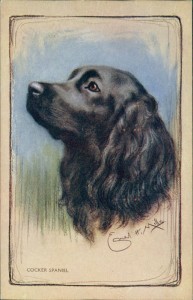 Alte Ansichtskarte Cocker Spaniel, sign. Ernest H. Mills