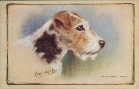 Alte Ansichtskarte Wire-haired Terrier / Wire Fox Terrier, sign. Ernest H. Mills