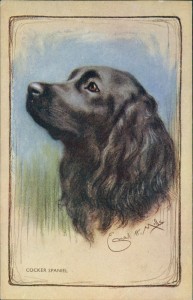 Alte Ansichtskarte Cocker Spaniel, sign. Ernest H. Mills