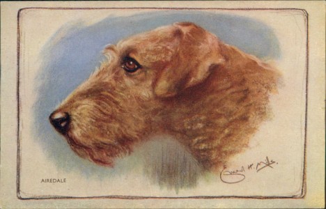 Alte Ansichtskarte Airedale Terrier, sign. Ernest H. Mills