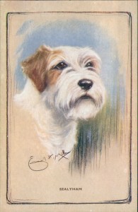 Alte Ansichtskarte Sealyham Terrier, sign. Ernest H. Mills