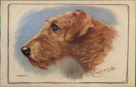 Alte Ansichtskarte Airedale Terrier, sign. Ernest H. Mills