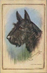 Alte Ansichtskarte Scottish Terrier, sign. Ernest H. Mills
