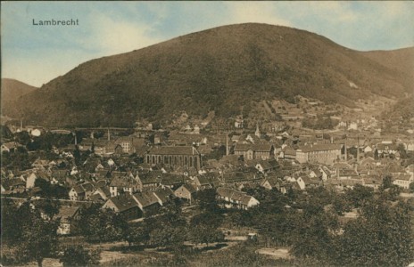 Alte Ansichtskarte Lambrecht (Pfalz), Gesamtansicht