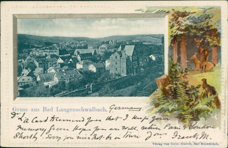 Alte Ansichtskarte Bad Schwalbach, Teilansicht