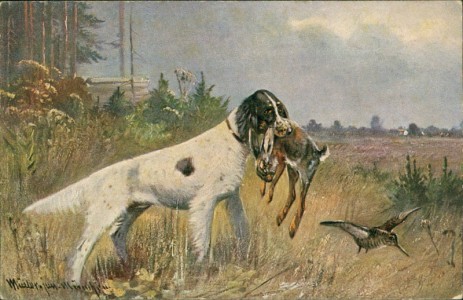 Alte Ansichtskarte Jagdhund, Langhaar mit Hase
