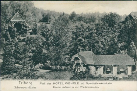 Alte Ansichtskarte Triberg im Schwarzwald, Park des Hotel Wehrle mit Sporthalle-Autohalle