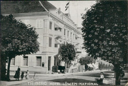 Alte Ansichtskarte Triberg im Schwarzwald, Hotel Löwen-National