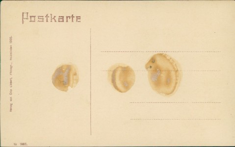 Adressseite der Ansichtskarte Eschershausen, Gesamtansicht (RÜCKSEITIG KLEBESPUREN)