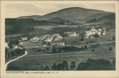 Alte Ansichtskarte Hinterzarten, Panorama