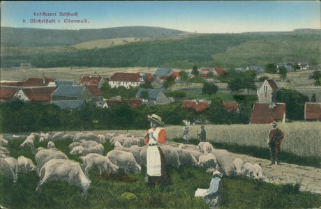 Alte Ansichtskarte Rehbach (Michelstadt), Gesamtansicht mit Schafherde im Vordergrund