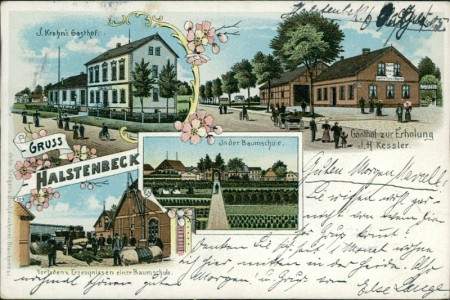 Alte Ansichtskarte Halstenbek, J. Krohn's Gasthof, Gasthof zur Erholung J. H. Kessler, Verladen von Erzeugnissen einer Baumschule, In der Baumschule