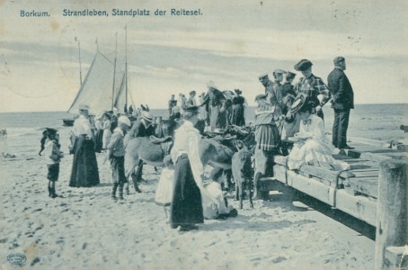 Alte Ansichtskarte Borkum, Strandleben, Standplatz der Reitesel, Esel