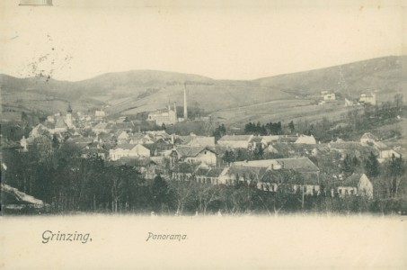 Alte Ansichtskarte Grinzing, Panorama