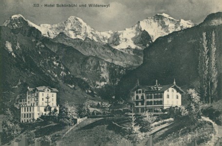 Alte Ansichtskarte Wilderswil, Hotel Schönbühl und Wilderswil