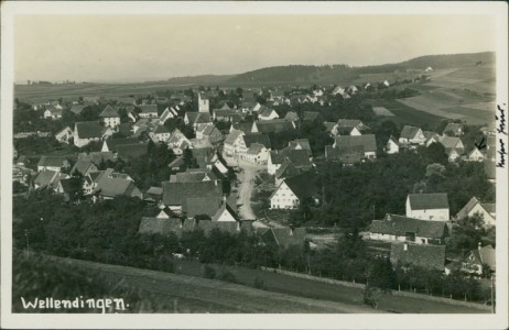 Alte Ansichtskarte Wellendingen, Gesamtansicht