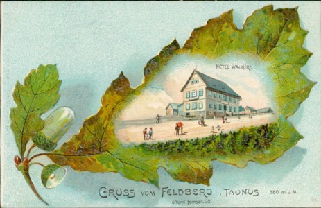 Alte Ansichtskarte Gruss vom Feldberg i. Taunus, Hotel Walküre, Eichenblatt, Eichel