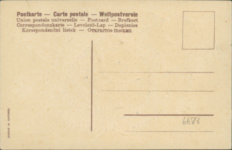 Adressseite der Ansichtskarte Bonne Année / Frohes neues Jahr, Schwein, Vergissmeinnicht, Klee (stark geprägt)