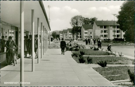 Alte Ansichtskarte Bielefeld-Sennestadt, Ostallee